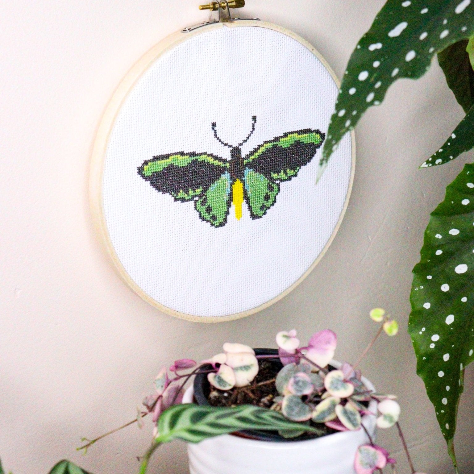 Richmond Birdwing Butterfly Modern Cross Stitch Kit - Craft Make Do