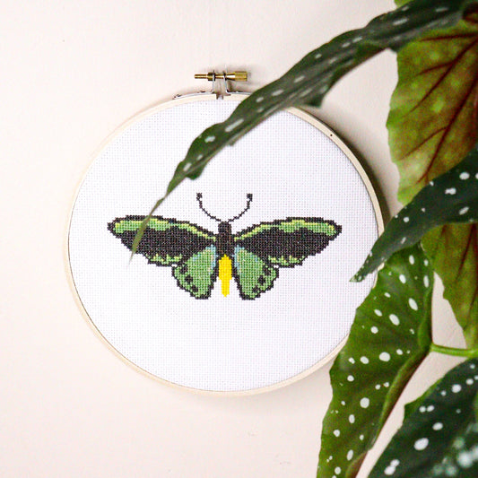Richmond Birdwing Butterfly Modern Cross Stitch Kit - Craft Make Do