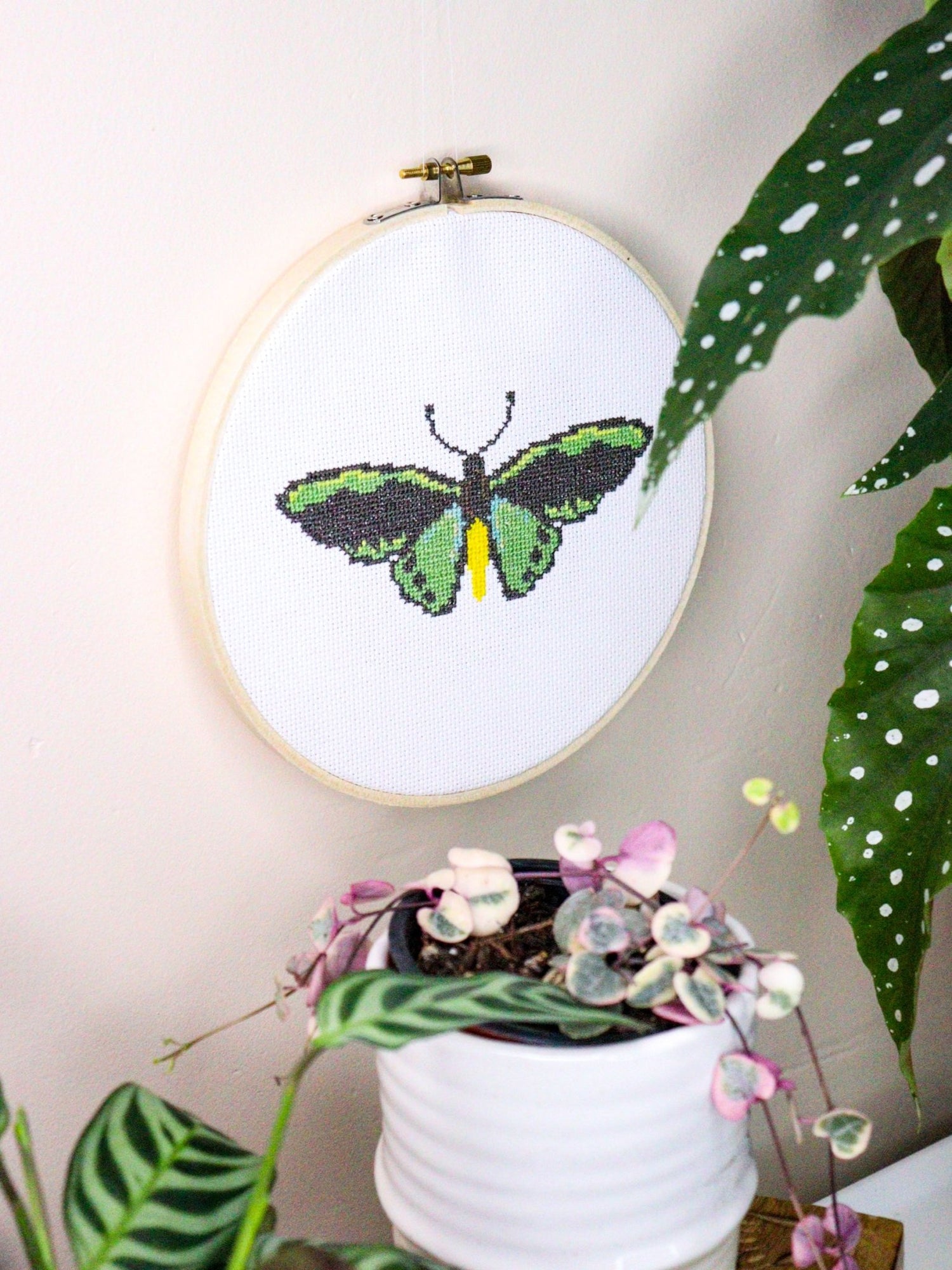Richmond Birdwing Butterfly Modern Cross Stitch Kit - Craft Make Do