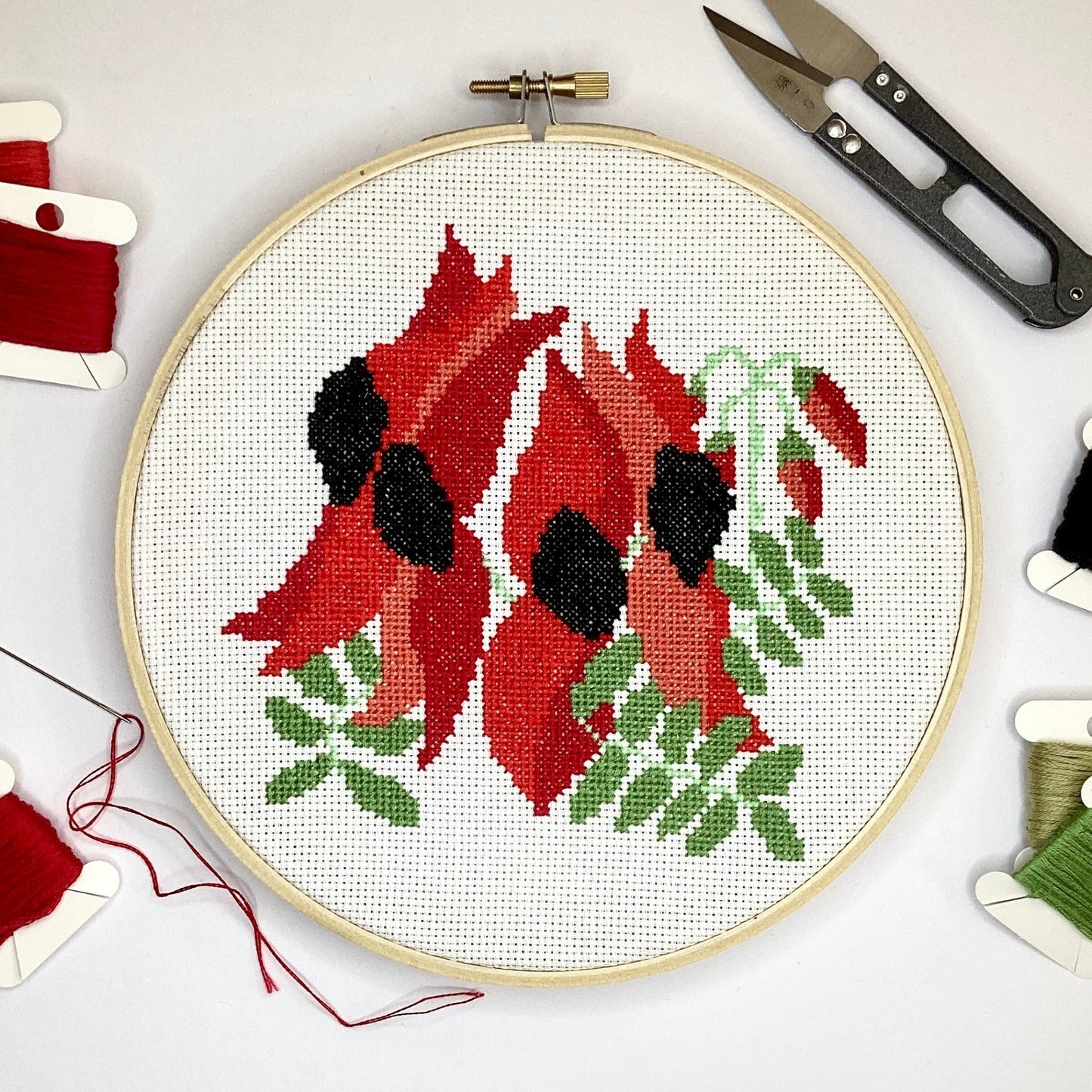 Sturt's Desert Pea Modern Cross Stitch Kit - Craft Make Do